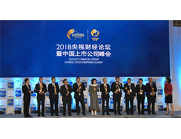海康威視連續(xù)三年入選“CCTV中國(guó)十佳上市公司”
